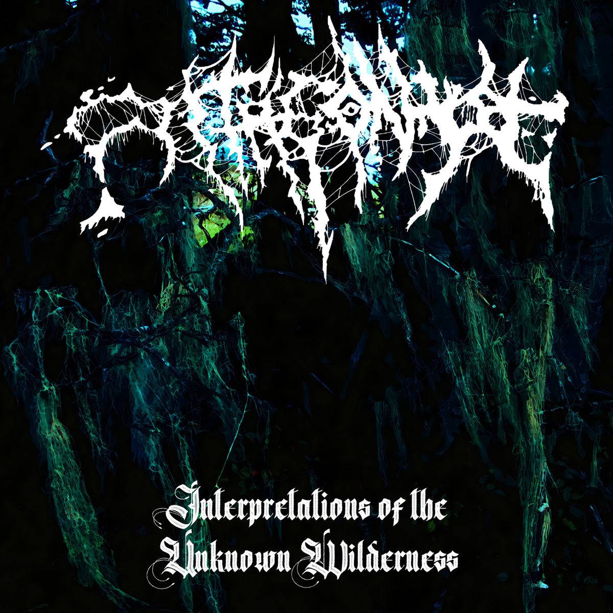 Interpretations Of The Unknown Wilderness