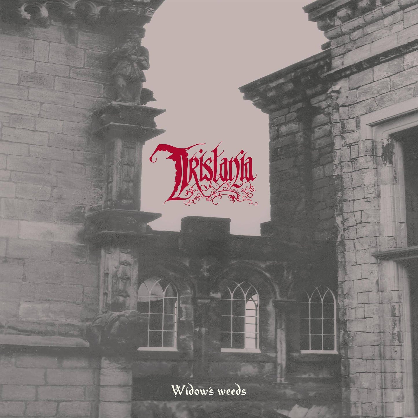 Widow's Weeds And Tristania