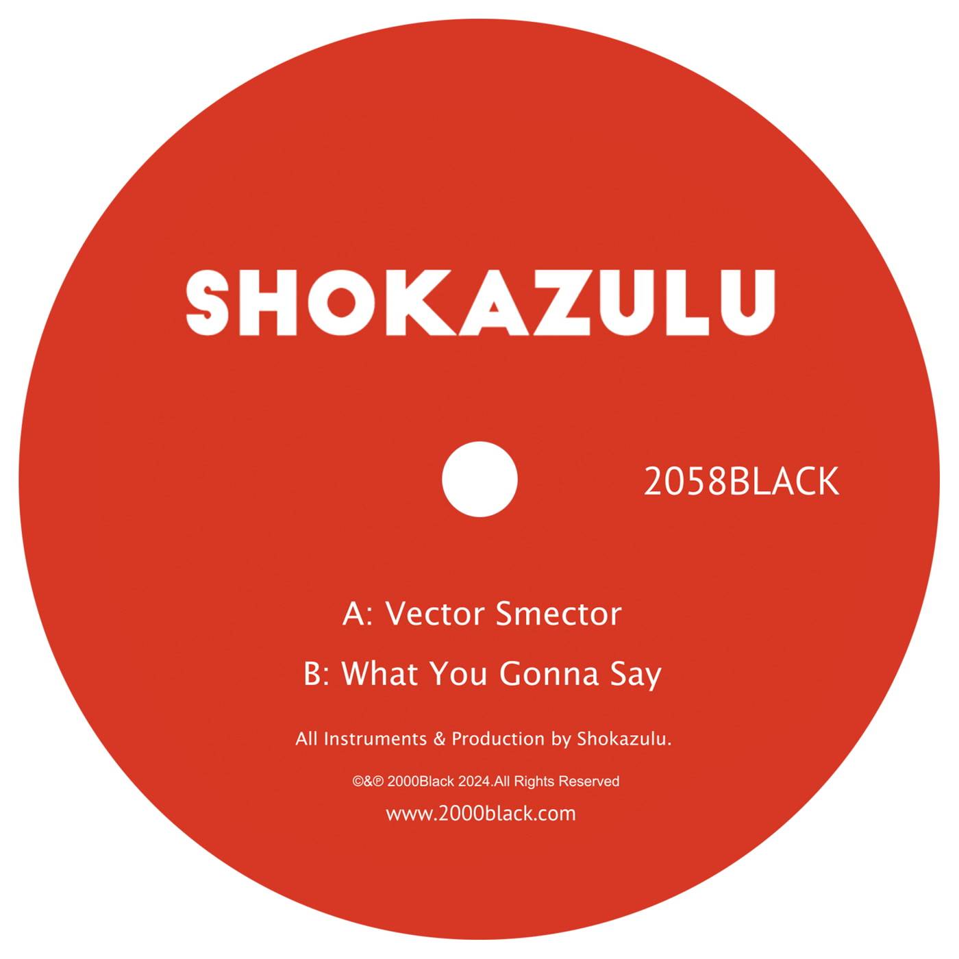 Vector Smector / What You Gonna Say