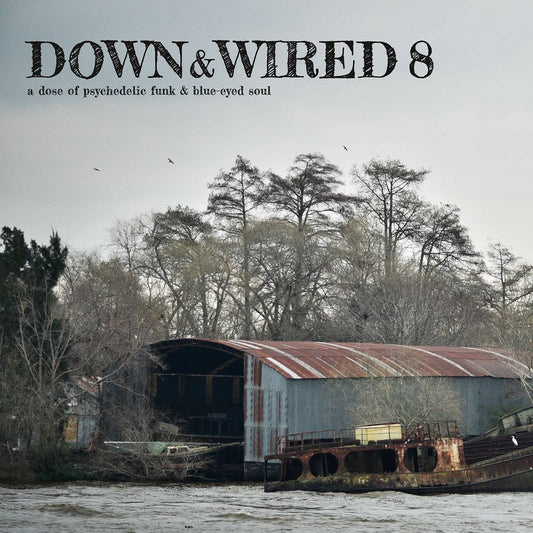 Down And Wired 8