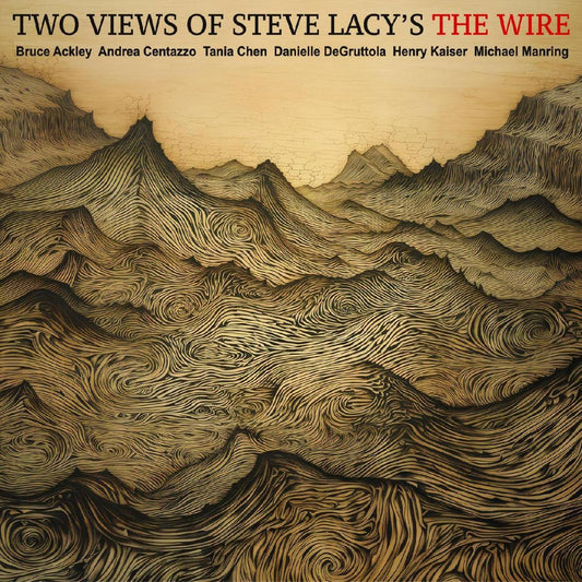Two Views of Steve Lacys the Wire