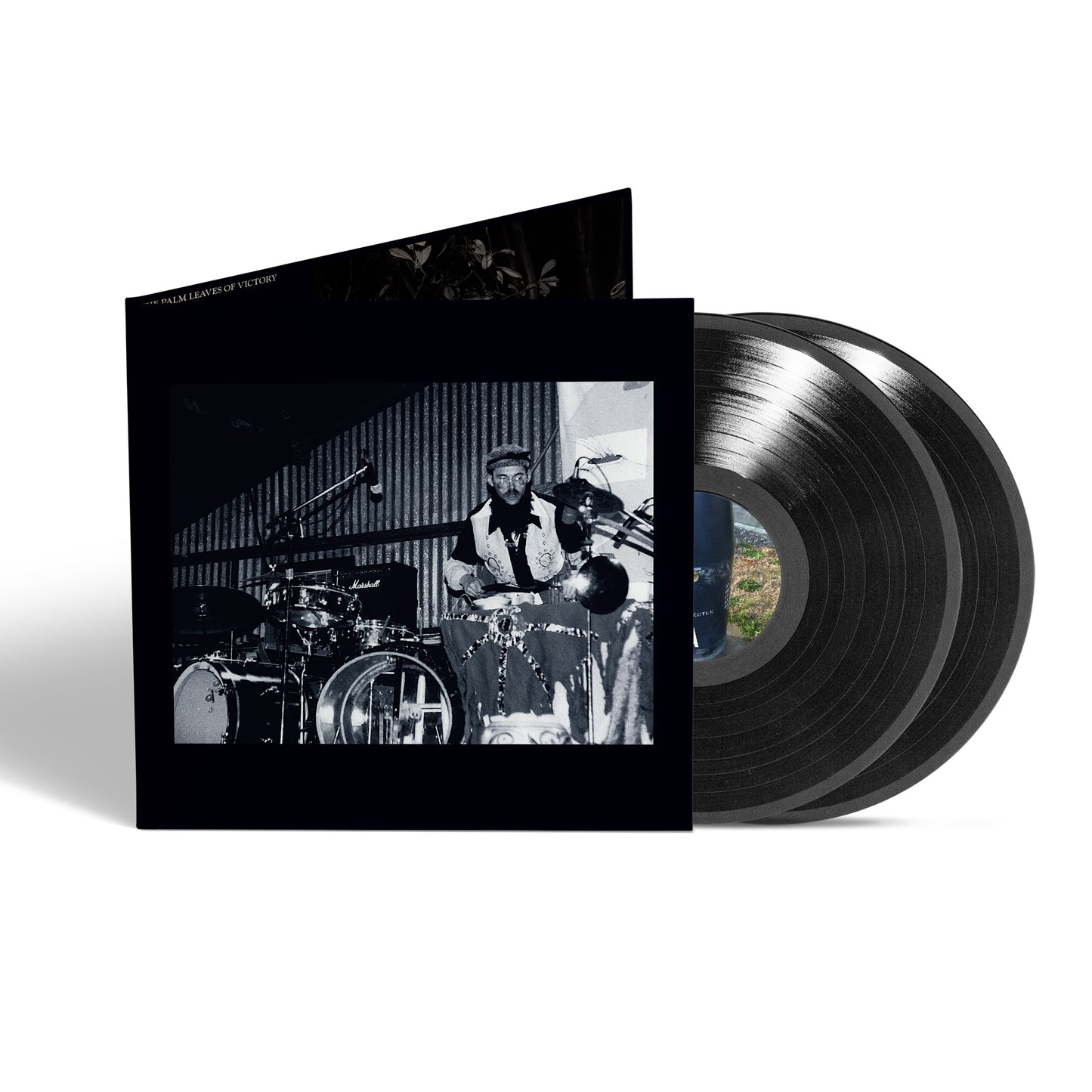 The Palm Leaves Of Victory / Audio Letter to Mitch Myers
