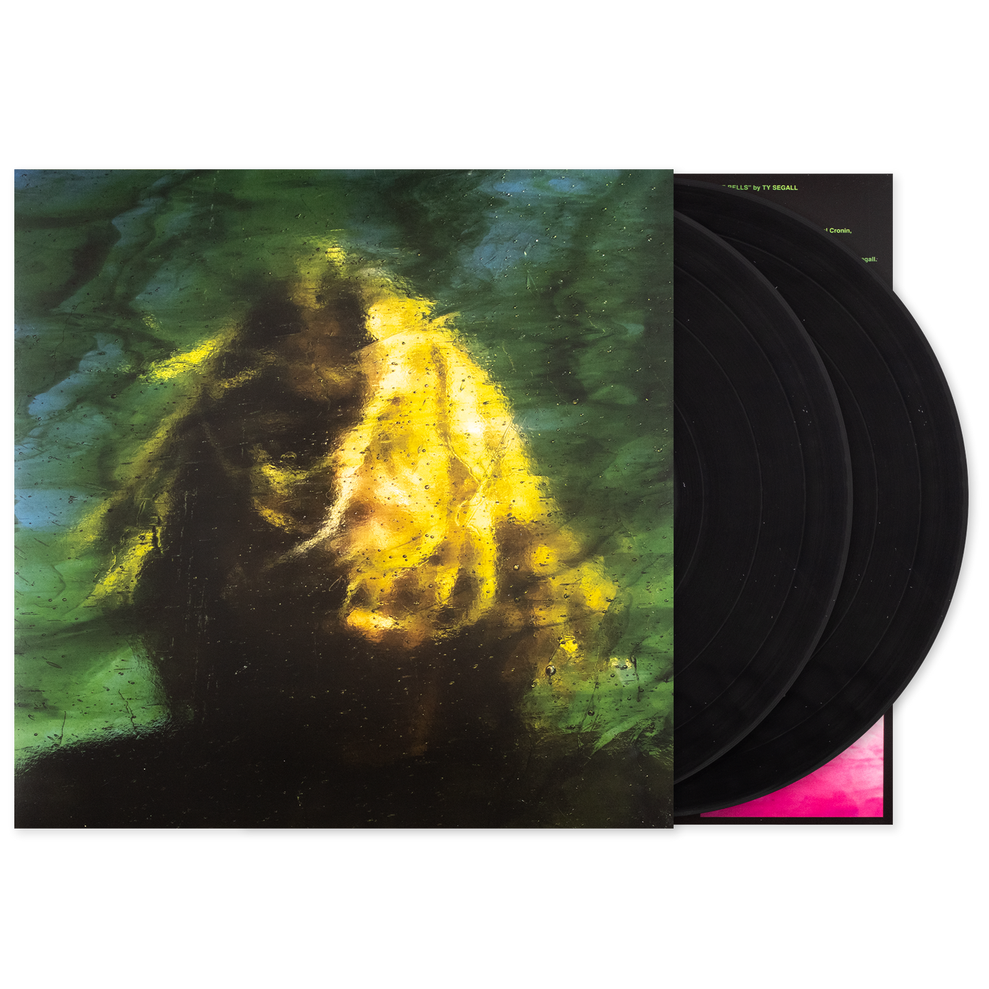 ty segall.png
