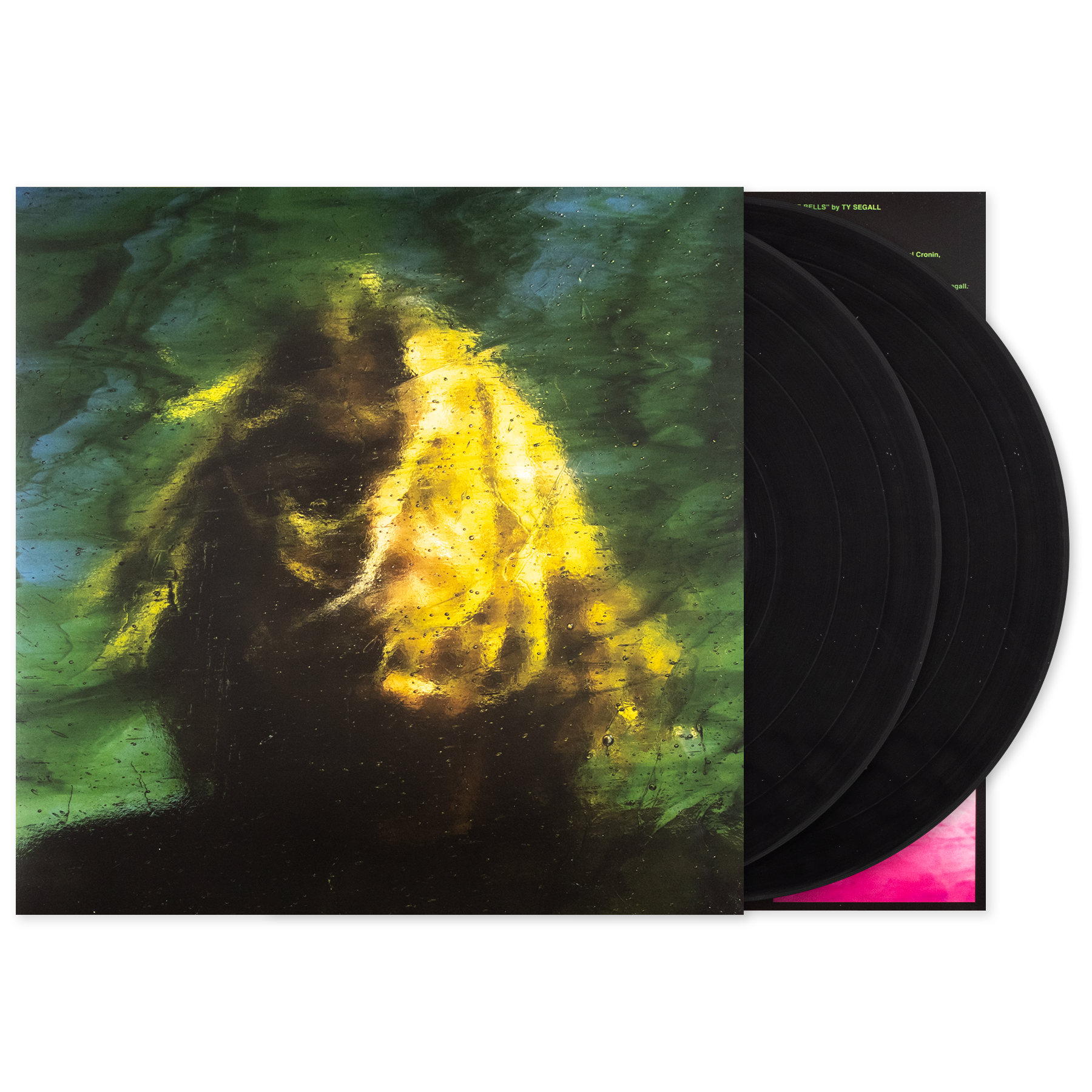 ty segall.png