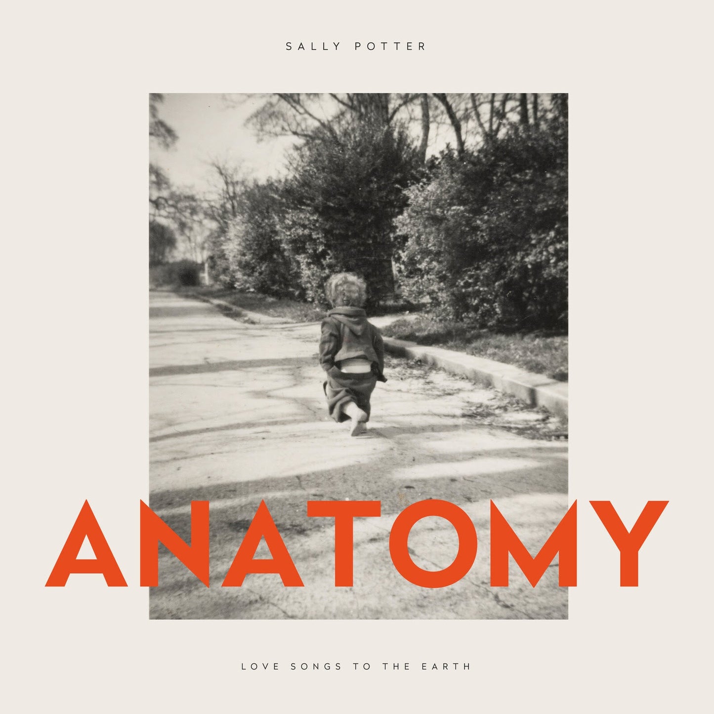 Anatomy