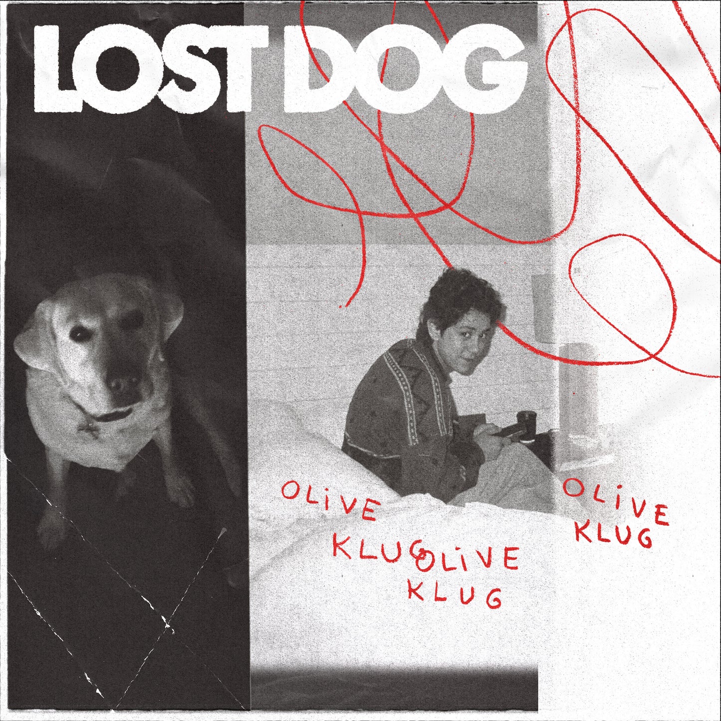 Lost Dog