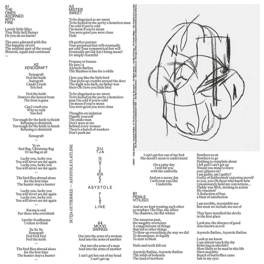 Asystole Flatline