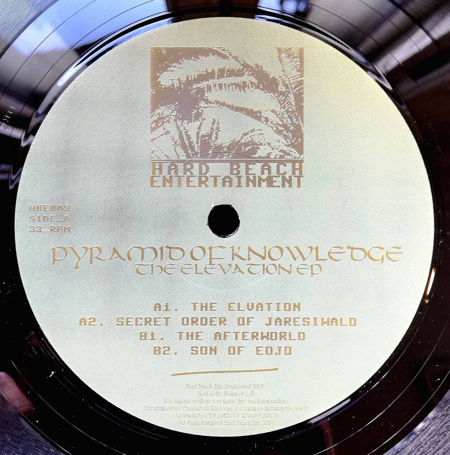 The Elevation