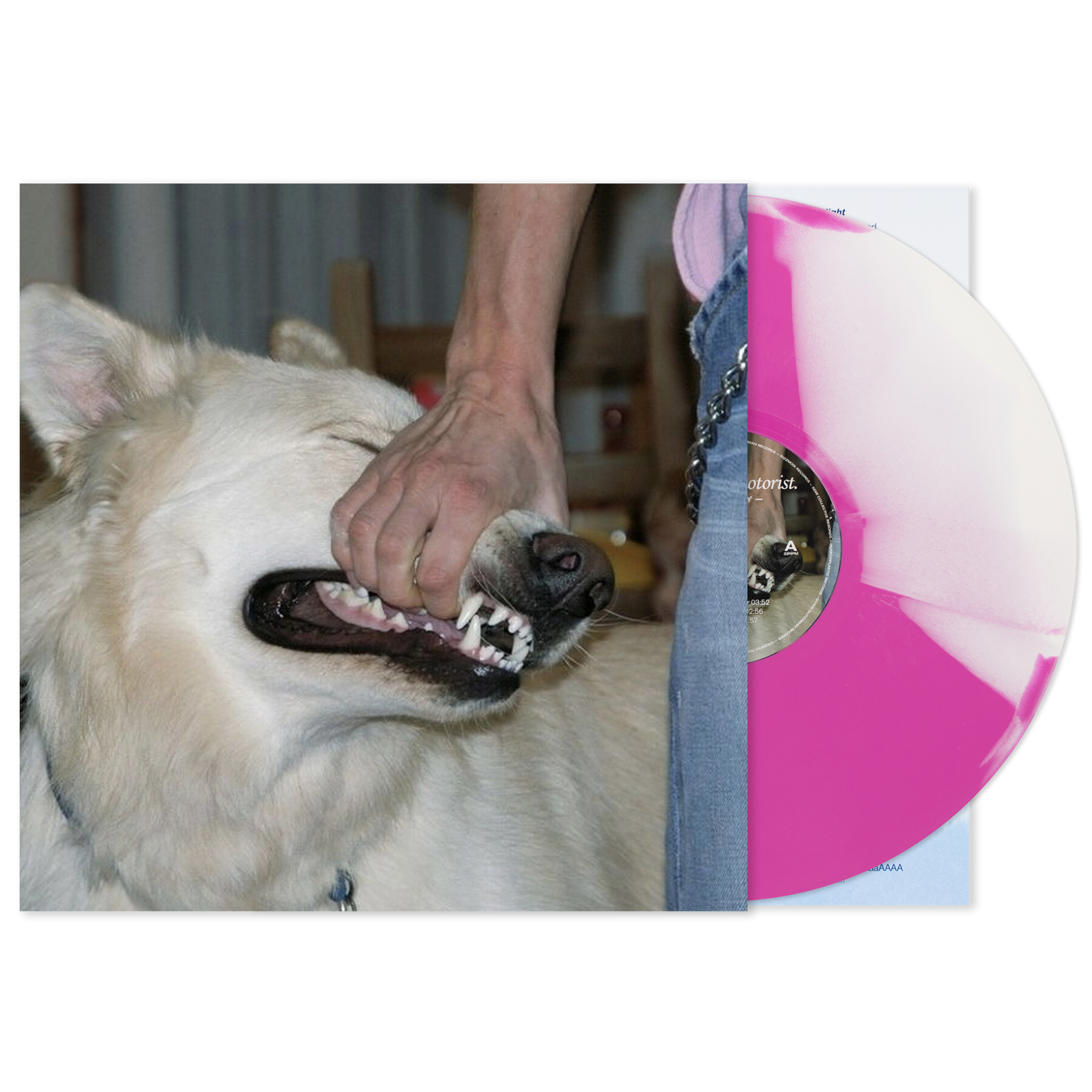 unnamed (23).png
