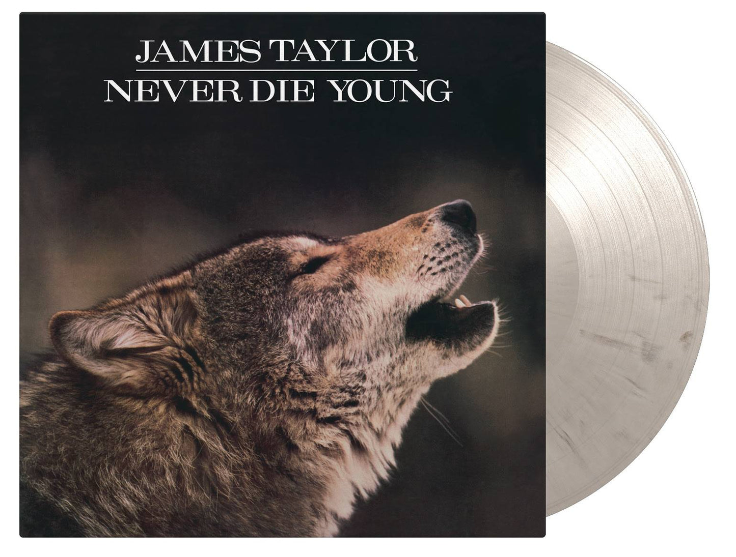 unnamed (31).jpg