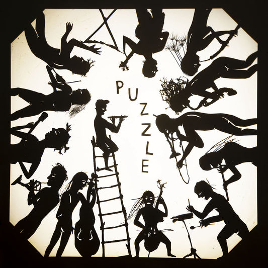 The Puzzle