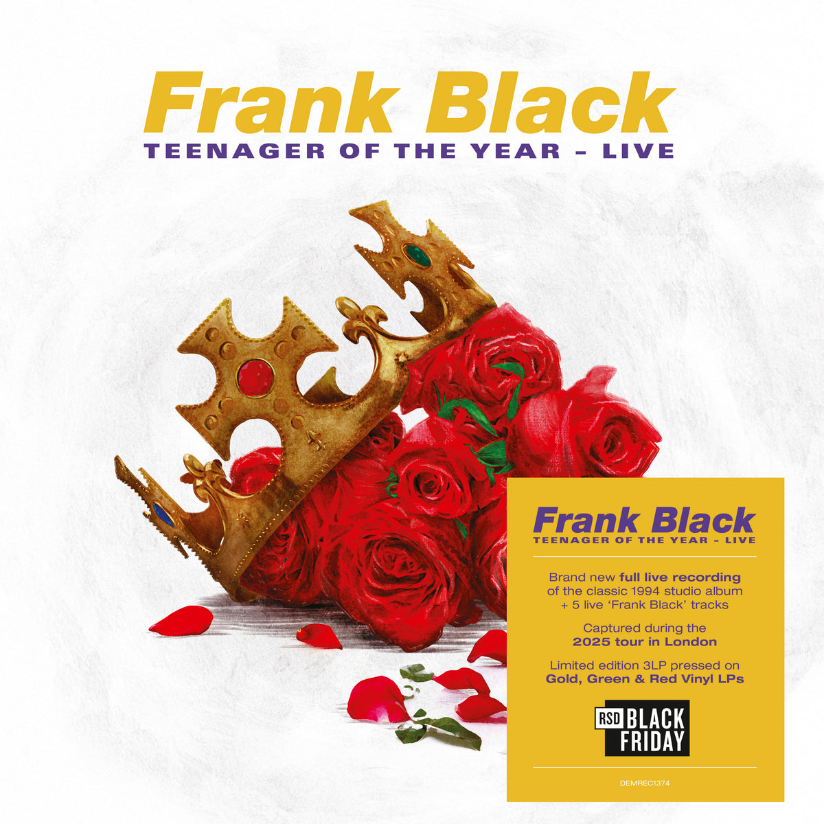 Frank Black - Teenager Of The Year - Live artwork