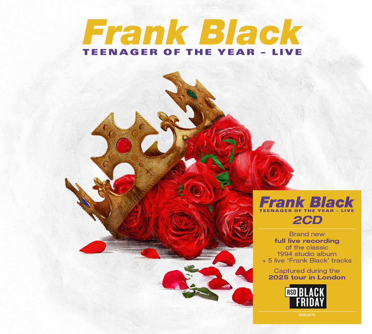 Frank Black - Teenager Of The Year - Live artwork