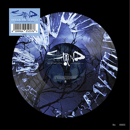 Staind - Breaking the Cycle (25th Anniversary Live) LP - Picture Disc packshot