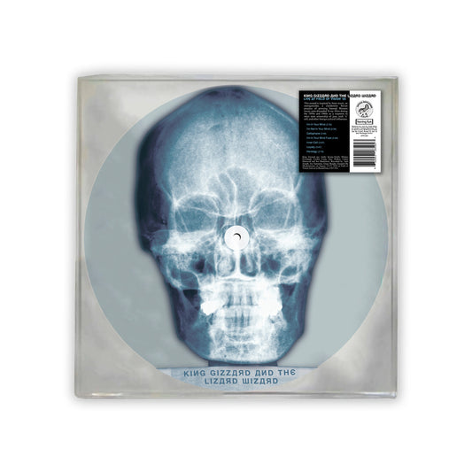 Skull X-Ray