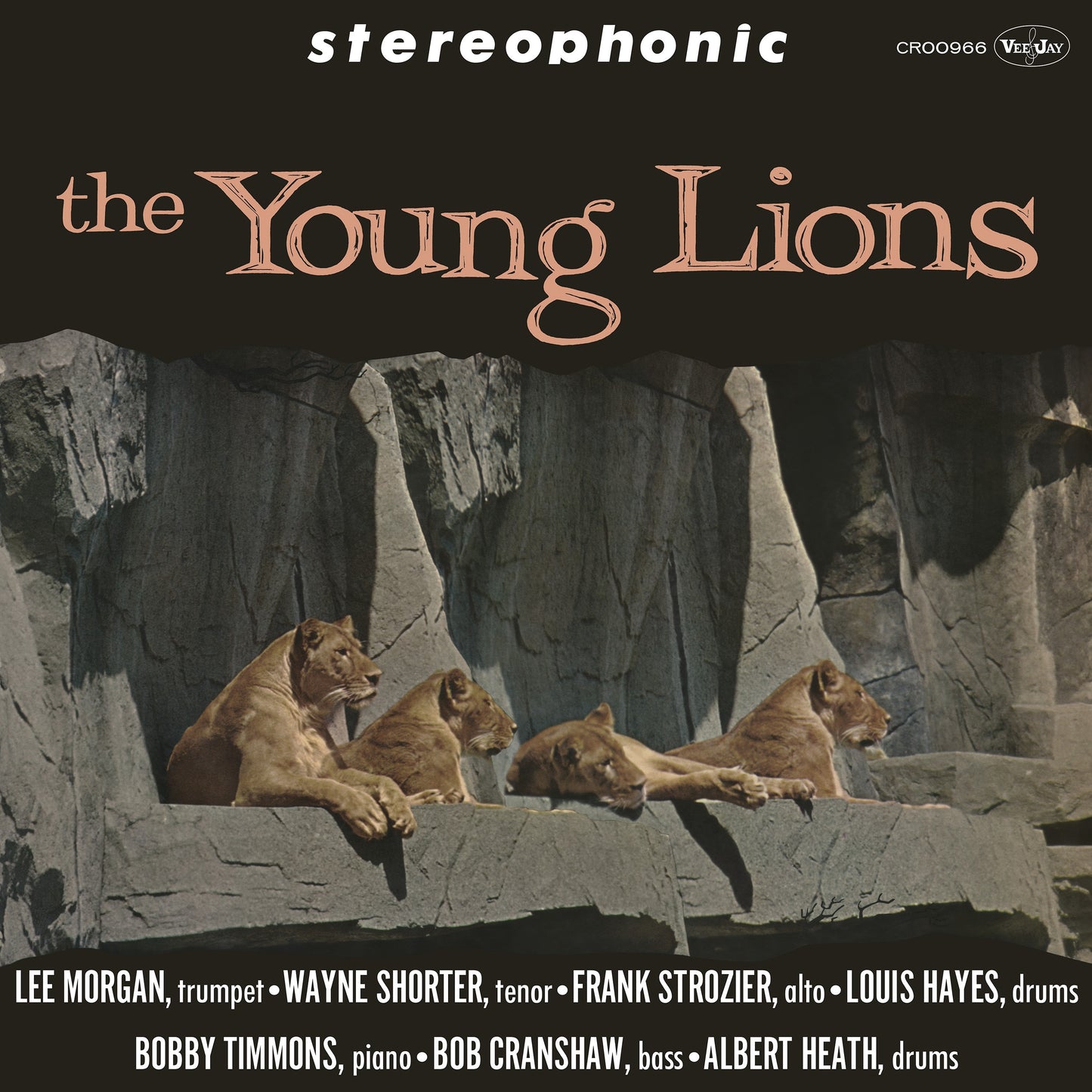 The Young Lions